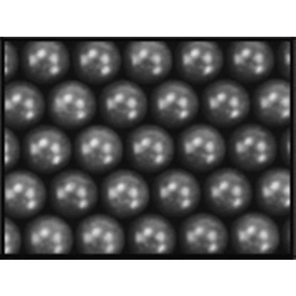 ICS 0.20g Bio BBs 2.000PCS Bag *DK GRAY* OEMAIR069089