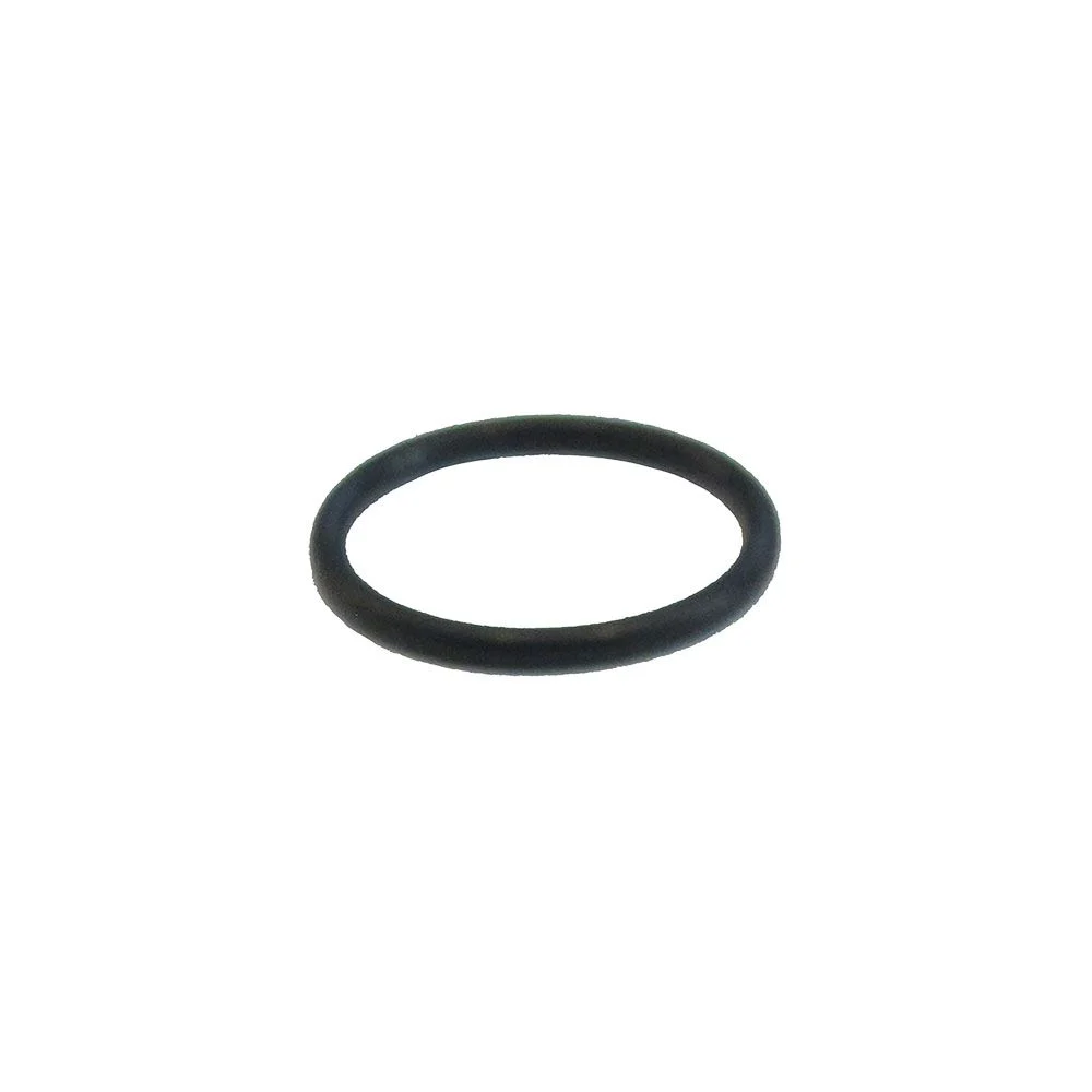 ICS AF-76 O-ringICS455079