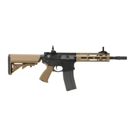 CM16 Raider 2.0 G&G DST
