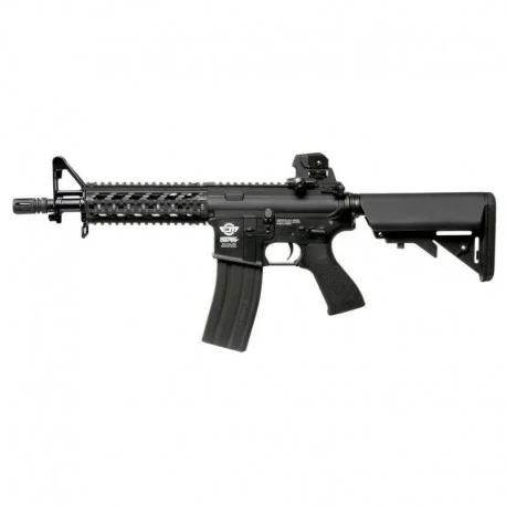 CM16 Raider G&G (EGC-16P-RDS-BNB-ECM)