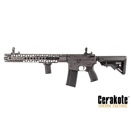 Evolution-Dytac LA M4 Carbine Lone Star Edition