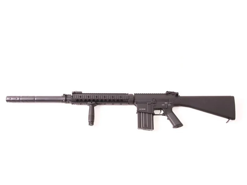 SR25 AK